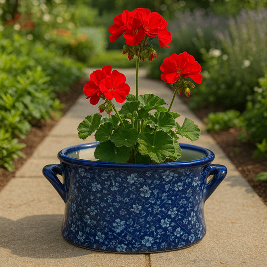 Planters / Foot Bath