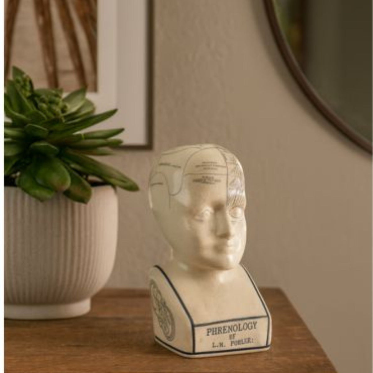 Phrenology Head 16 CMs