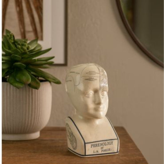 Phrenology Head 16 CMs