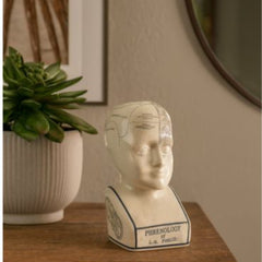 Phrenology Head 16 CMs