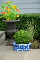 Planters / Foot Bath