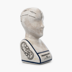 Phrenology Head 16 CMs