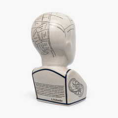 Phrenology Head 16 CMs