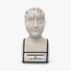 Phrenology Head 16 CMs