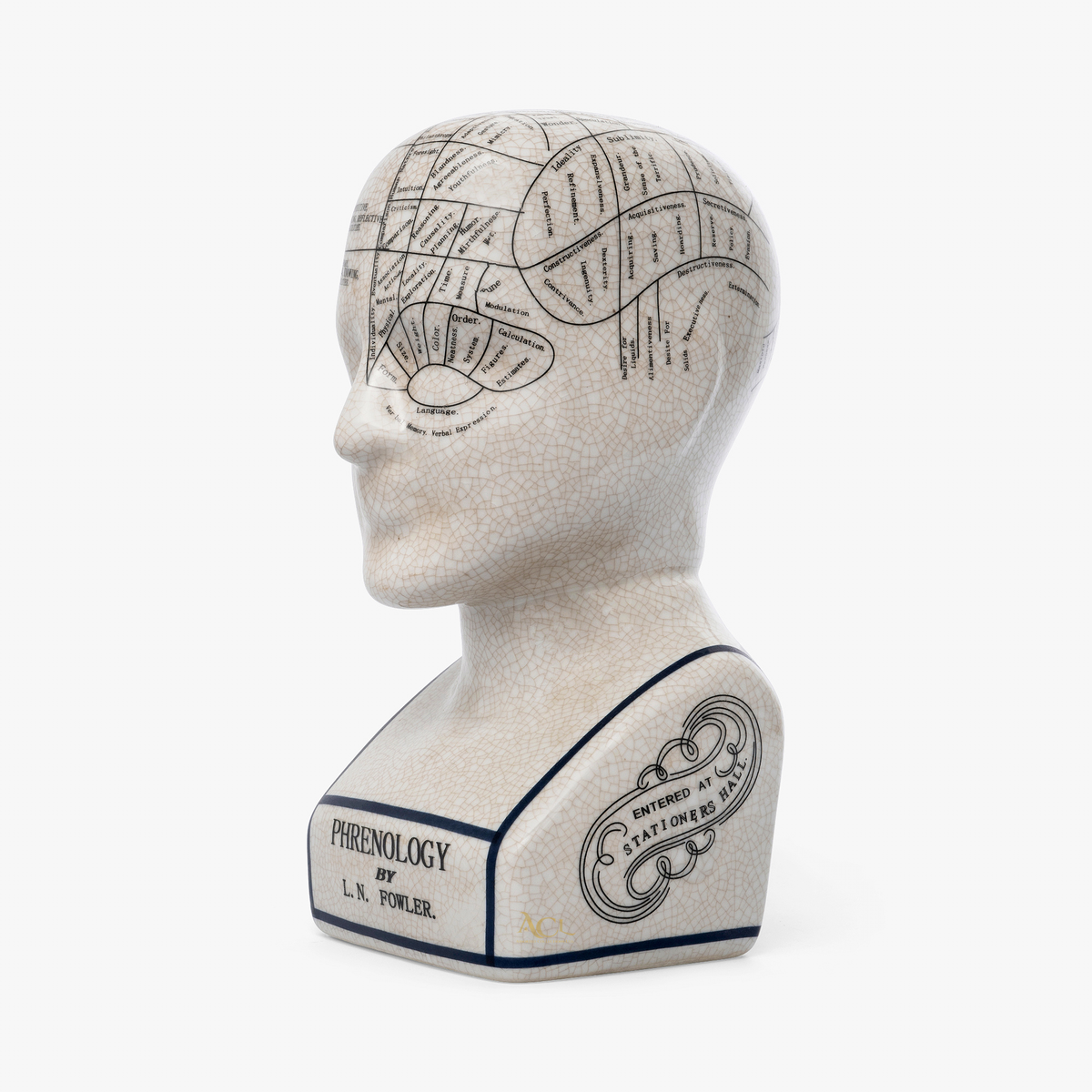 Phrenology Head 23 CMs