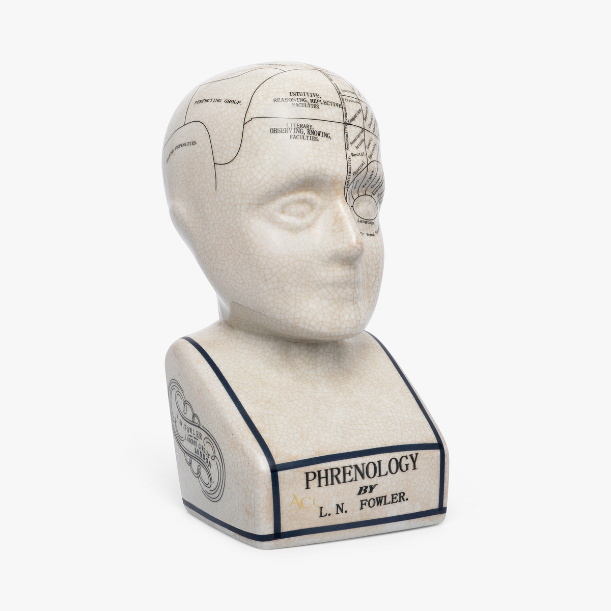 Phrenology Head 28 CMs