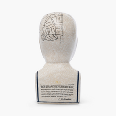 Phrenology Head 28 CMs