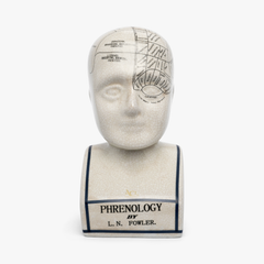 Phrenology Head 28 CMs