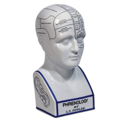 Porcelain Phrenology Head
